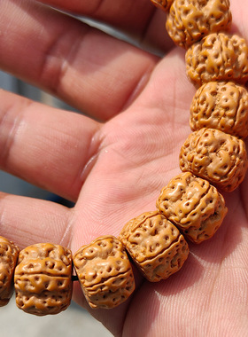 藏式梅花桩花王小金刚菩提手串男女菩提子念珠佛珠手链文玩手持