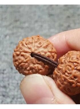 矮桩飞碟手串七八九瓣小金刚菩提子男女念珠手链文玩树王爆肉印尼