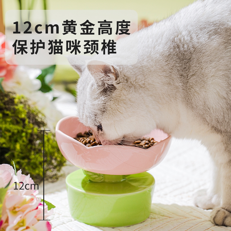 元気喵丨花朵猫碗陶瓷高脚猫食盆猫咪喝水碗狗狗水碗防打翻猫用品-图2