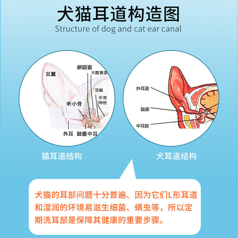 尔康犬猫用氟苯尼考甲硝唑宠物滴耳液油猫咪狗中耳炎耳道发臭流脓,淘宝优惠券,粉丝福利购,淘宝优惠卷