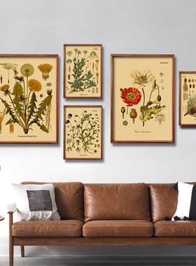 Retro Botanical Prints Flower Illustration Vintage Posters