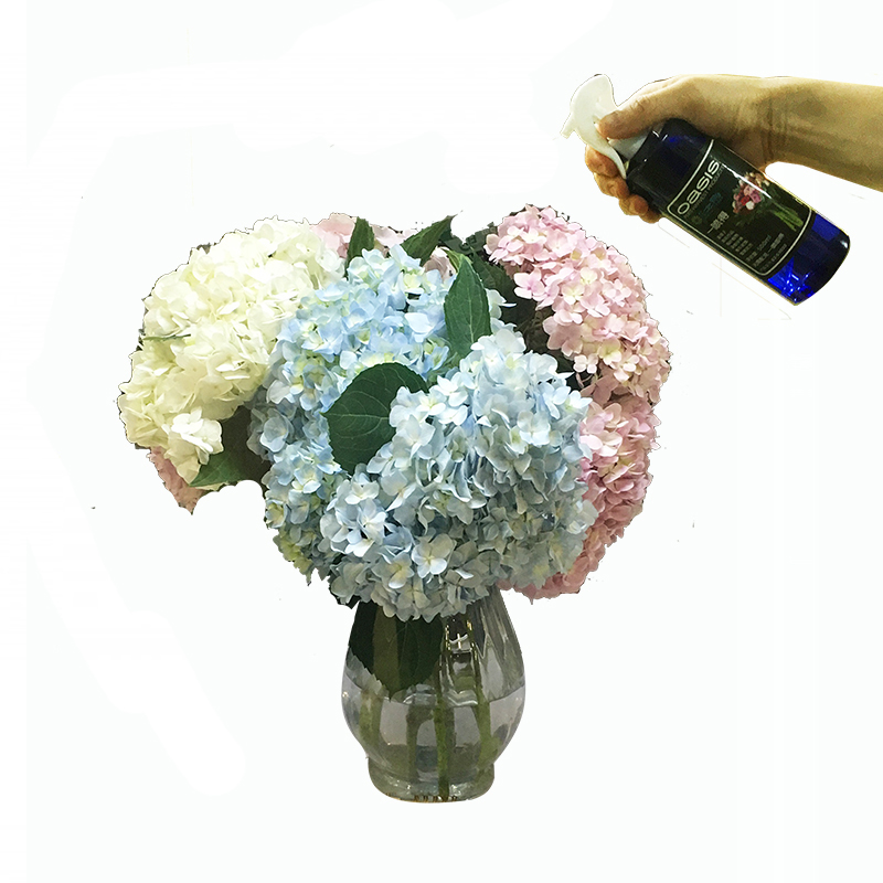 花之寿一喷得专业鲜花锁水剂绣球新娘捧花保水剂进口鲜花保鲜剂5L-图1