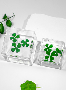 真实四叶草标本方块树脂幸运摆件高颜值装饰节日送礼生日礼物