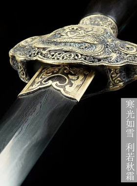 神龙剑一体羽毛纹烧刃宝剑汉剑清剑唐剑收藏镇宅龙泉冷兵器未开刃