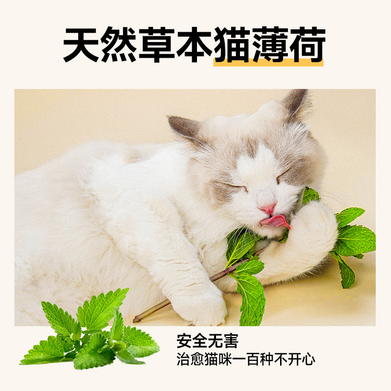 麦富迪猫零食猫薄荷饼干小鱼干猫咪零食磨牙洁齿营养成幼猫小零食