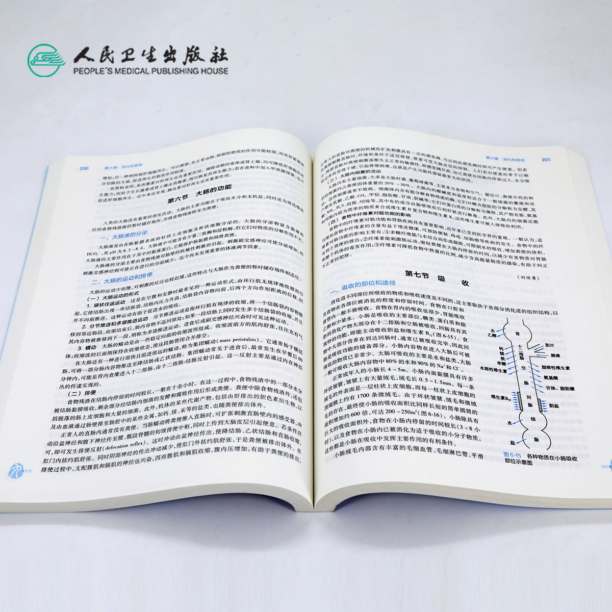 生理学人卫第九版王庭槐生化病理10内科诊断细胞有机与分子生物化学预防医学统计免疫儿科神经病局部解剖9考研本科临床教材药理学 - 图3