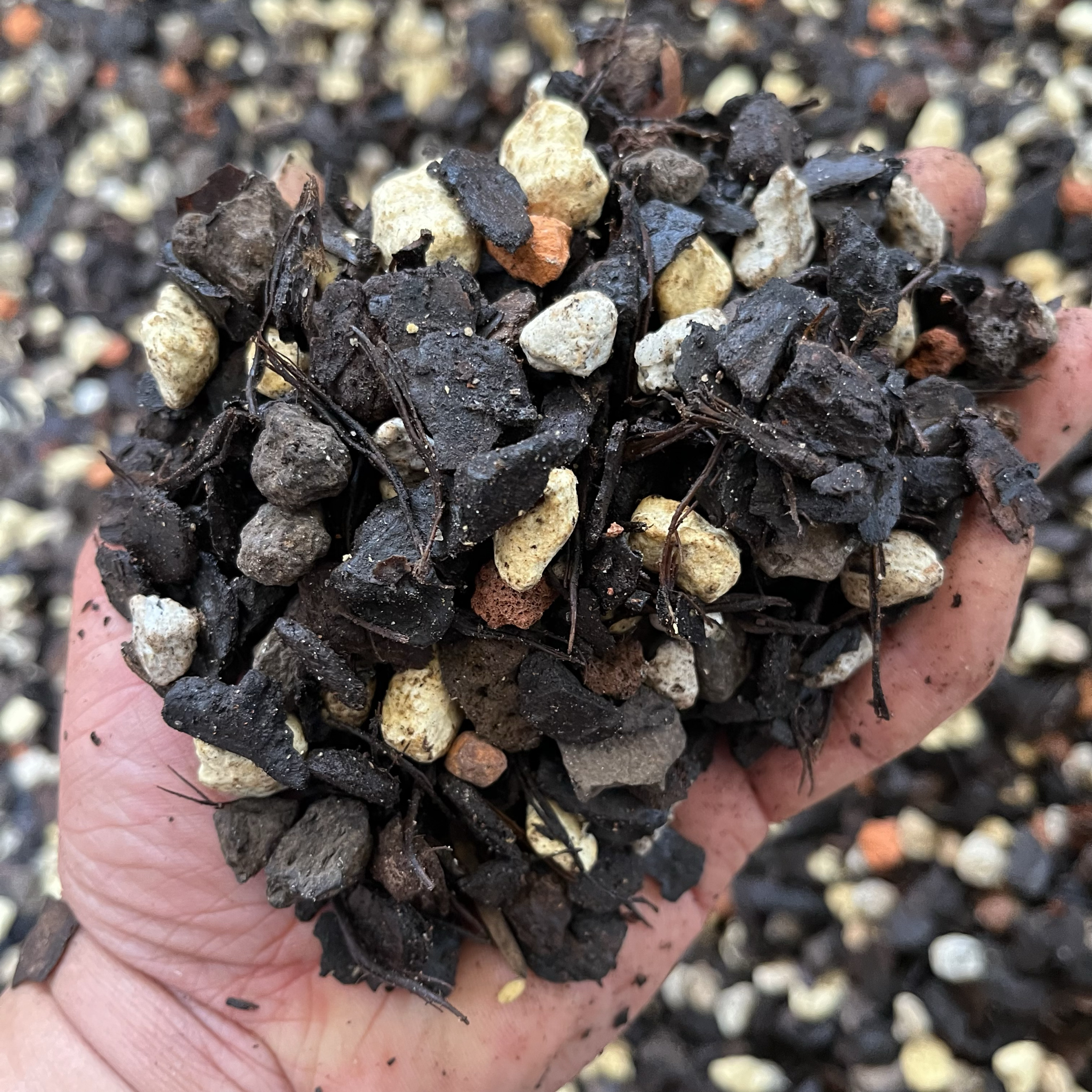 精品兰花土专用植料兰花专用土君子兰石斛蝴蝶兰花土松树皮植金石 - 图1