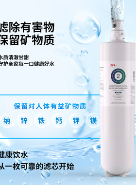 3M净水器DWS2500-CN主滤芯净水机直饮过滤器后置家用替换耗材通用