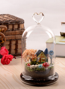 创意爱心透明玻璃微景观花瓶礼物