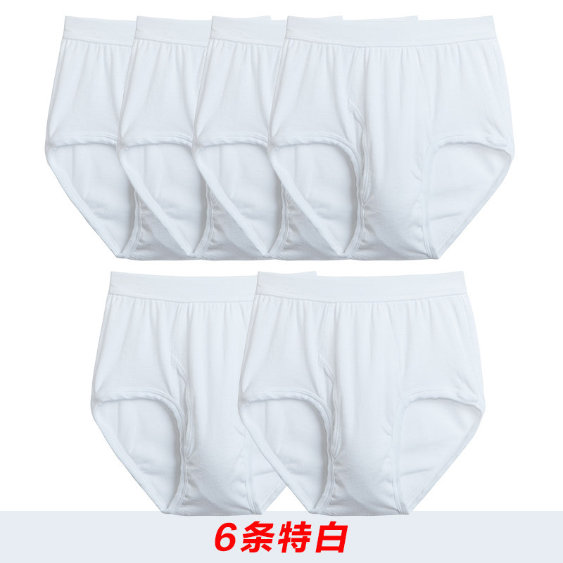 共6条三枪男纯棉宽松舒适三角裤 三枪家诚内裤