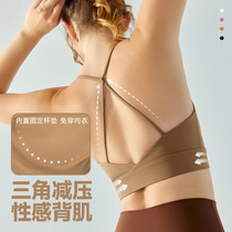 U Collar Yoga Vest Fixed Chest Cushion Brief High Play Harnesses Sexy Triangle Beauty Back Naked Feel Breathable Fitness Blouse