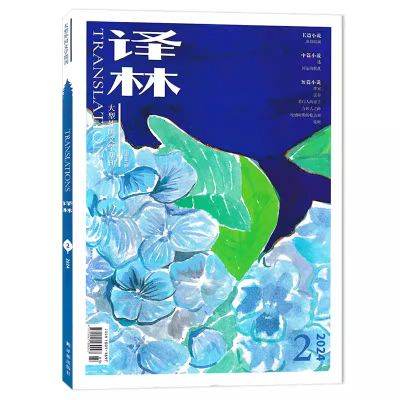 【套装可选】译林杂志【共11本】2025年1+2024年1-6+2023年1/2/4/6期组合 任选2022年  长篇中篇短篇小说 大型外国文学期刊,淘宝优惠券,粉丝福利购,淘宝优惠卷