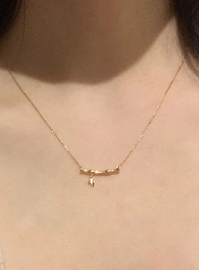 钛钢项链 百搭竹节项链女轻奢小众长青竹锁骨链简约高级感首饰品