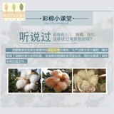 Британская природа чистого ребенка набор мужского сокровища весенняя и осенняя модели в детской осенней одежде