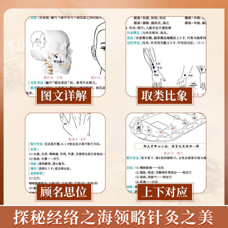 2025年中医腧穴定位速记图解经络穴位讲解指导用书大全歌诀手册