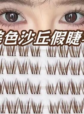 lodo免胶棕色沙丘假睫毛太阳花