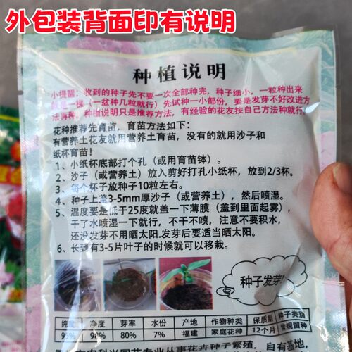 驱蚊草种子草花种籽阳台盆栽庭院除虫菊艾草四季播驱蚊植物组合 - 图3