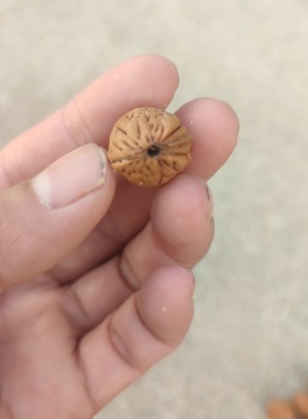 男女款桃核原核手串文玩佛珠