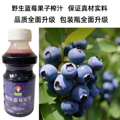 绿康哥野生蓝莓原浆汁蓝莓汁水果汁蓝梅饮料浓缩汁鲜榨花青素保真 - 图1