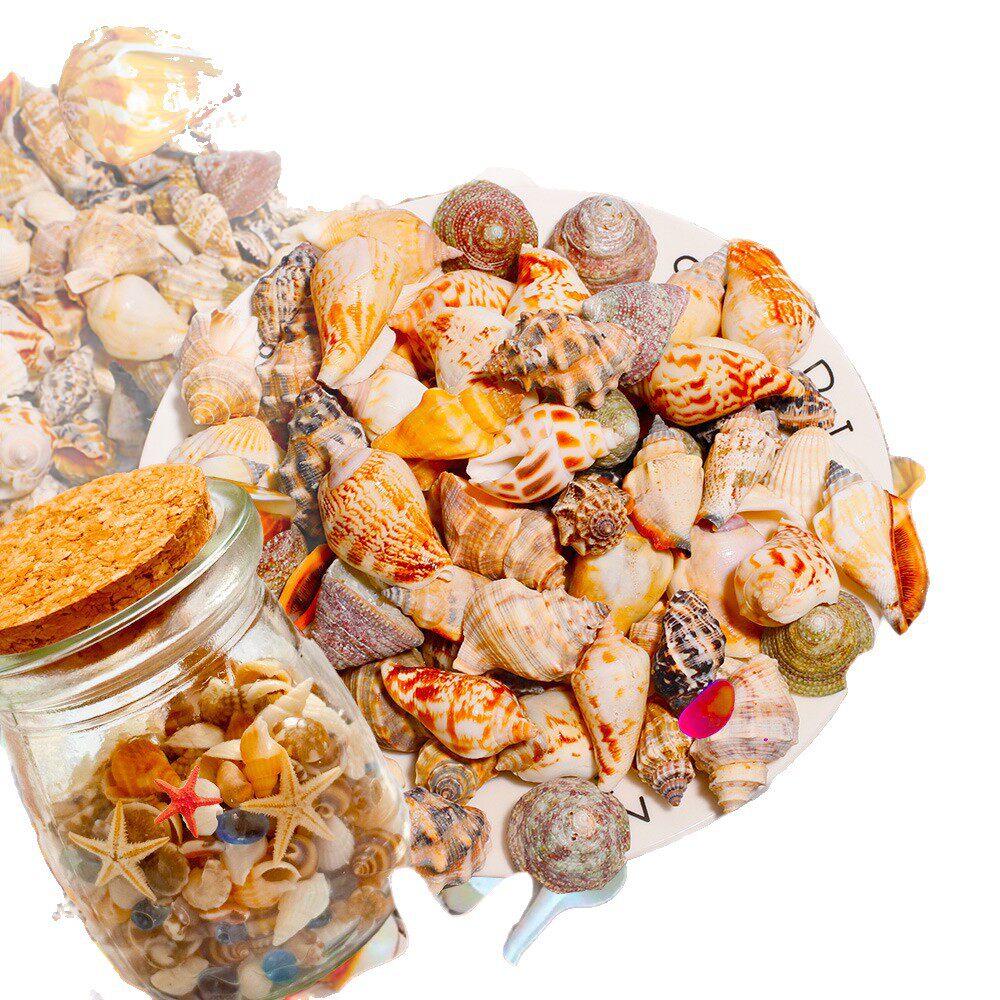 海螺盲袋小学生奖励礼品朋友奖品创意幼儿园儿童生日全班奖励礼物