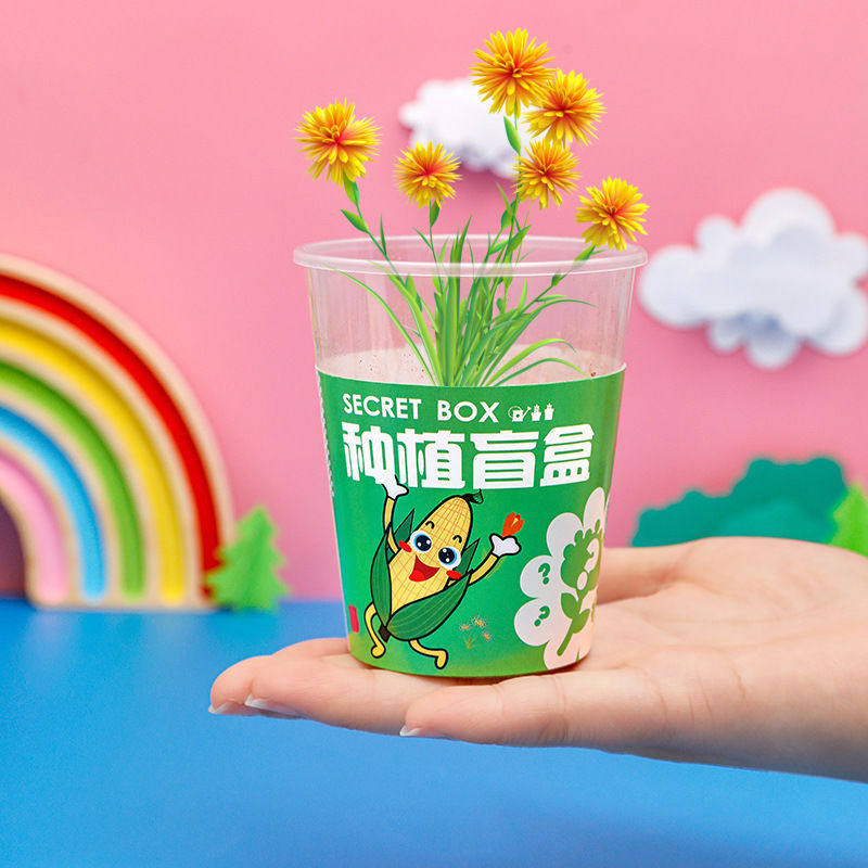 实用儿童DIY种植盲盒开业活动赠品礼物三四五年级学生奖励小礼品