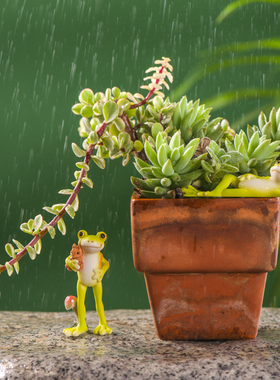 水族箱鱼缸造景可爱动物小青蛙摆件创意微景观花盆多肉盆栽装饰品