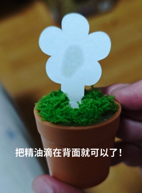 创意仿真花盆摆件装饰品可爱桌面小摆件（私人定制）