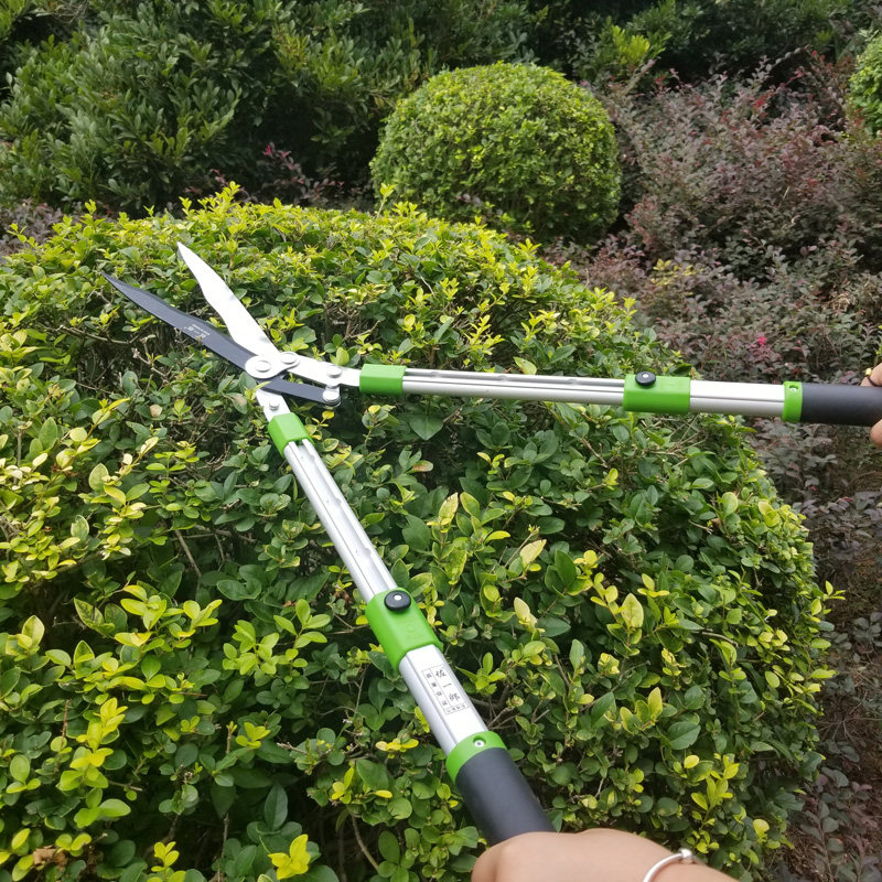 进口佐佐木绿篱剪助力省力大剪刀草坪剪伸缩园艺修树枝剪花木树_虎窝淘
