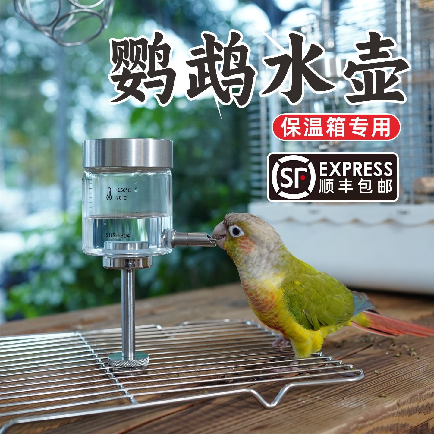 鹦鹉撞针水壶外出笼顶保温箱底网笼内磁吸牡丹小太阳自动饮水器,淘宝优惠券,粉丝福利购,淘宝优惠卷