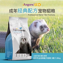 (East) Adult Ferret 1 36kg Angkor Ruanggruma Snow Pets Ferret Ferrets ferrets