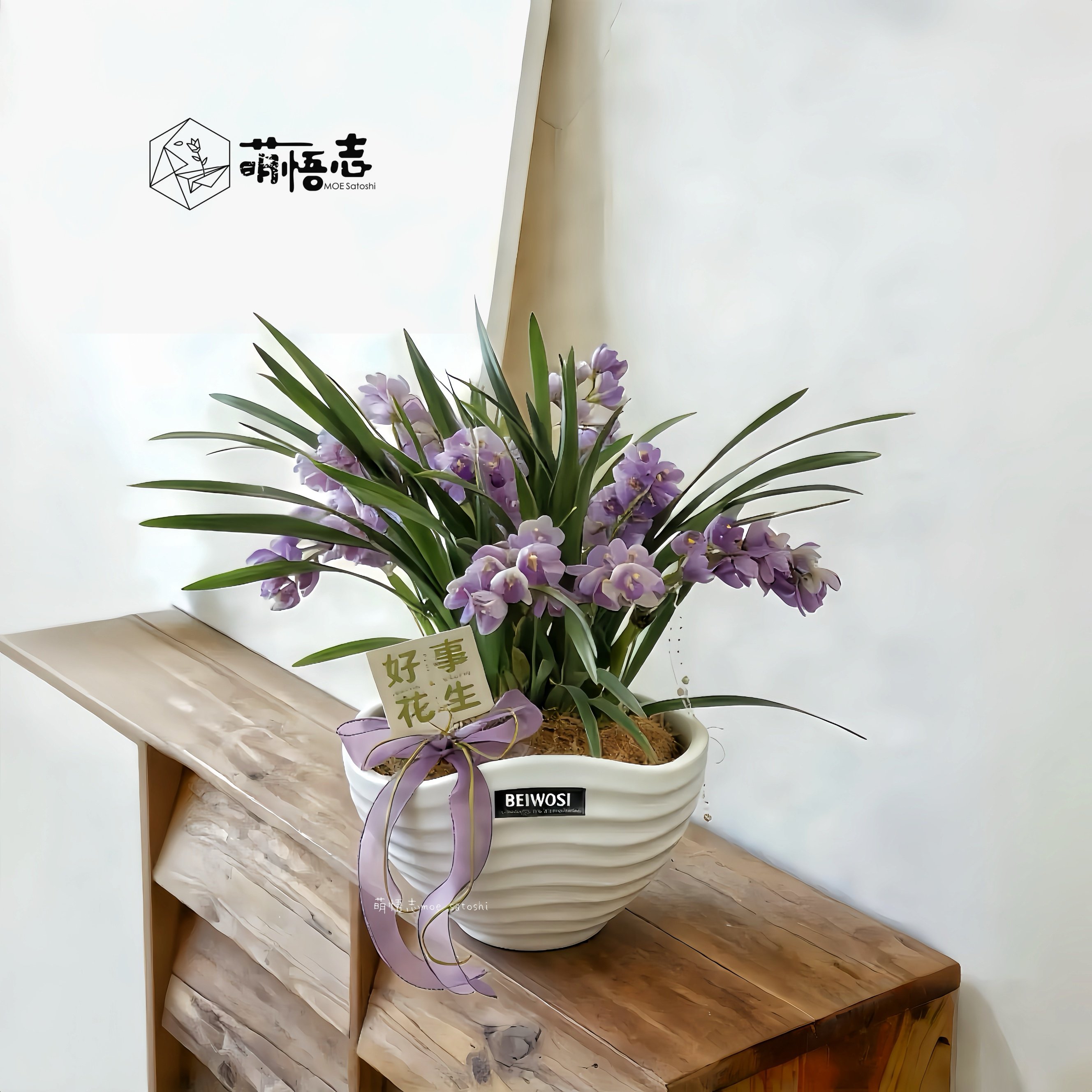 景德镇陶瓷花盆北欧风大口径手捏蝴蝶兰组合专用桌面客厅盆栽清仓,淘宝优惠券,粉丝福利购,淘宝优惠卷