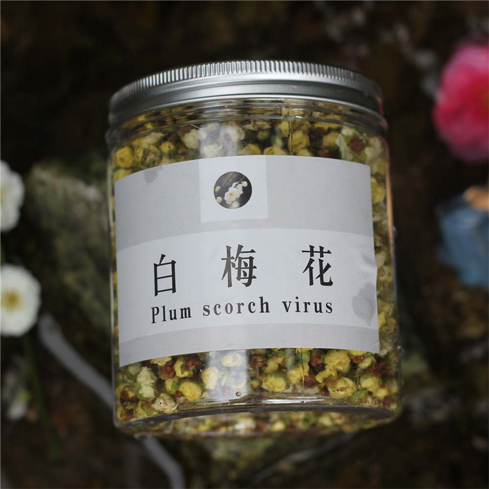 新中药白梅花茶绿萼梅花茶手选干梅花苞泡水绿梅玫瑰花茶无硫 - 图1