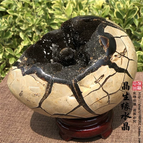 Природная черепаха задний камень, крэкстоун, долголетие, схема долговечности черепахи, удача, духовный камень Странный камень