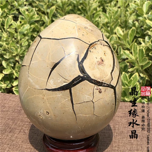 Природная черепаха задний камень, крэкстоун, долголетие, схема долговечности черепахи, удача, духовный камень Странный камень