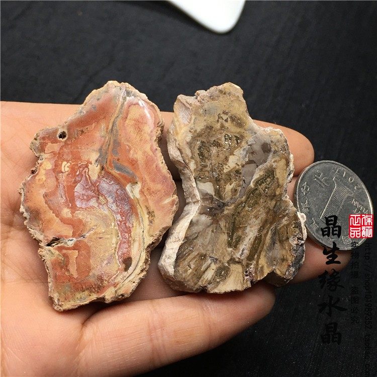 天然马达加斯加古生物化石树化石木化石片小矿物标本一组实物可选 必应鸟