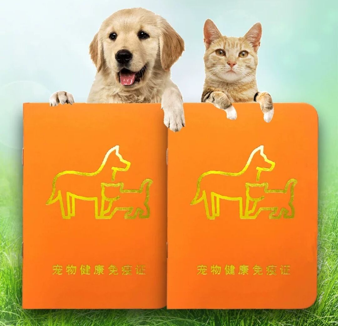 【10本】加厚烫金猫狗通用狂犬疫苗打针本托运宠物店同款驱虫登记 - 图1