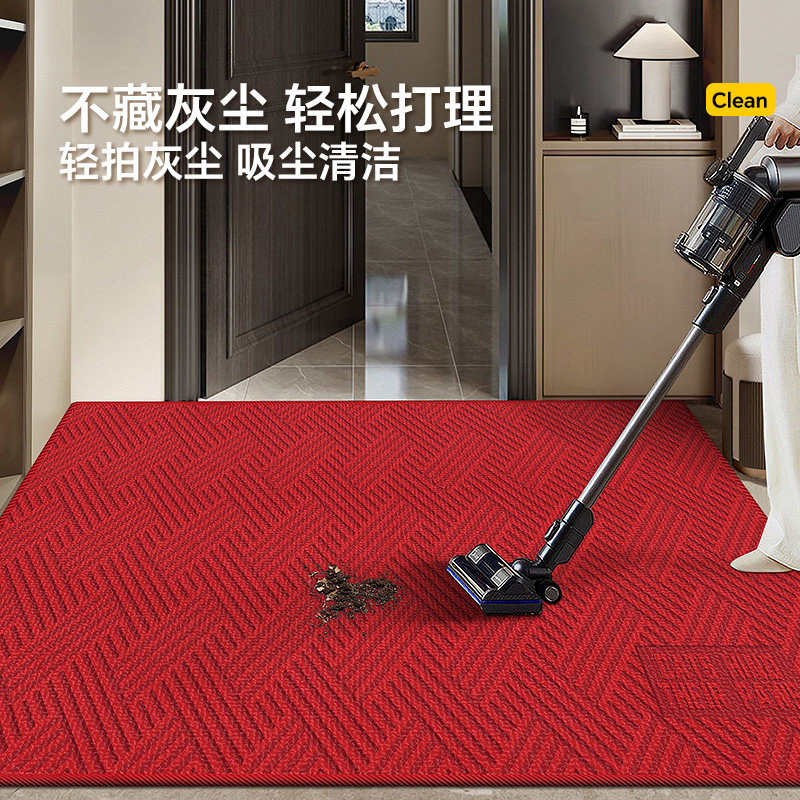 红色轻奢高级感入户门地垫玄关地毯进门口脚垫家用防滑可定制尺寸,淘宝优惠券,粉丝福利购,淘宝优惠卷
