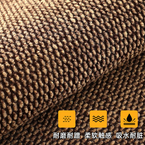 进入户门地垫家用门垫大门口地毯防滑除尘耐脏脚垫可裁剪定制尺寸 - 图0