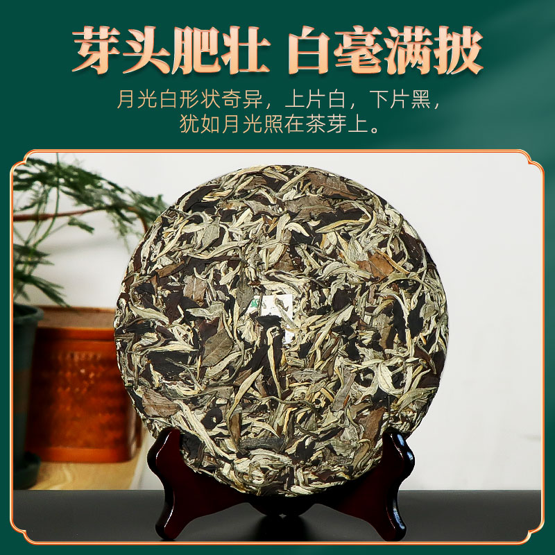 滇湘2022年春茶月光白白茶茶饼白牡丹云南景谷大白茶月光美人357g - 图1