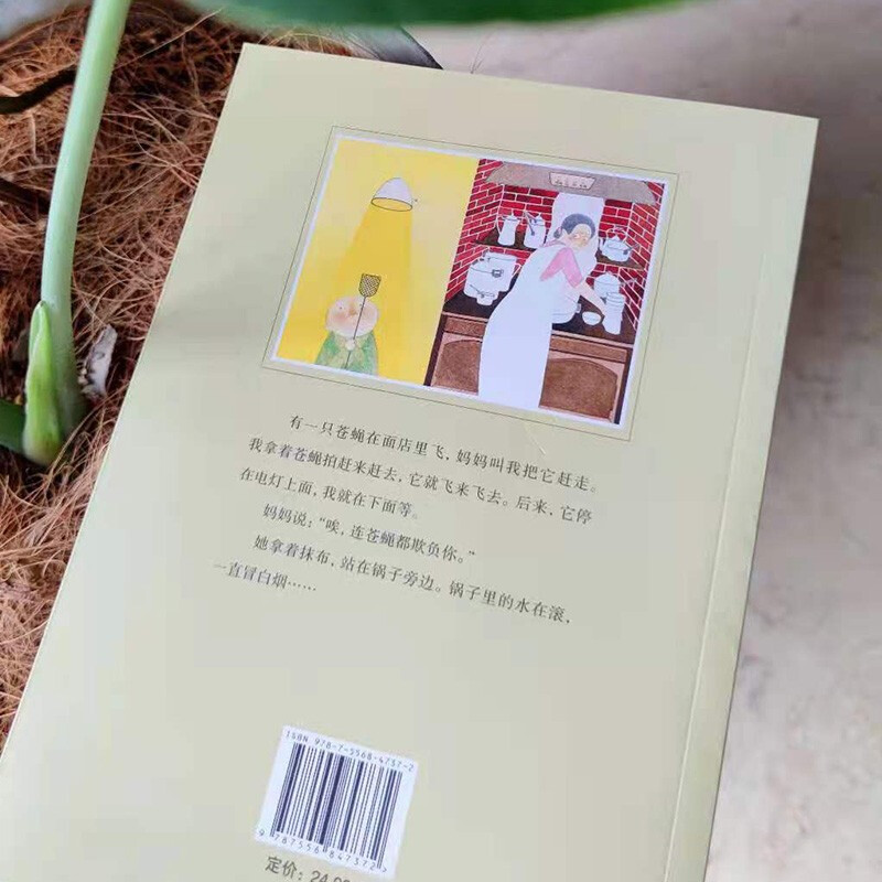 我是白痴彩乌鸦中文原创王淑芬作品6-12周岁冒险故事书校园小说二三四年级课外书阅读儿童文学童年图书小学生课外读物书籍7-10岁-图2