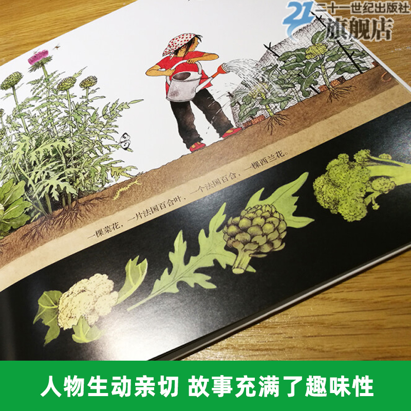 它们是怎么长出来的精装硬壳蒲蒲兰绘本馆蔬菜种植物生长过程认识自然科普读物季节图画故事书3-6岁他们 21