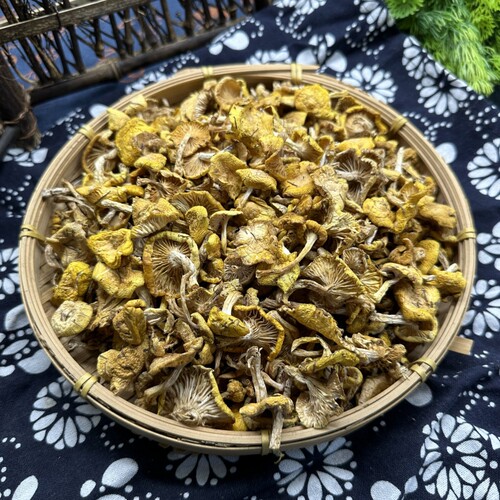 小黄蘑东北野生小黄蘑500g松树油蘑野生蘑菇干货小鸡炖蘑菇 - 图0