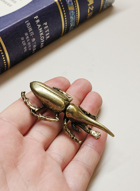 金属甲虫标本模型小摆件装饰品