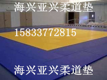 Judo Mat Racing Area With Judo Mat Compression Sponge EVA Judo Mat Red Yellow Green Blue Black Gray