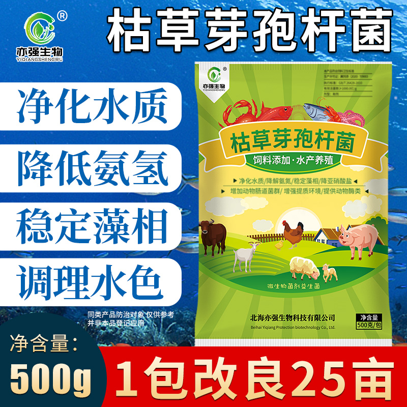 1000亿水产枯草芽孢杆菌降解亚硝酸盐氨氮蓝藻净化水质肥水净水菌 - 图2