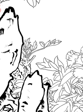 11B22高清大图工笔作业国画牡丹条幅白描线描实物打印稿条幅