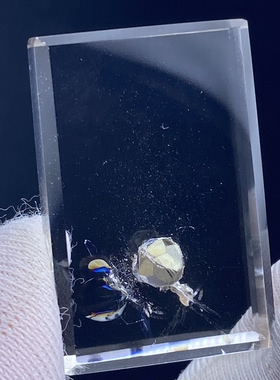 天然水晶包裹体黄铜矿吊坠裸石男女款铜矿项链饰品挂坠 一物一图