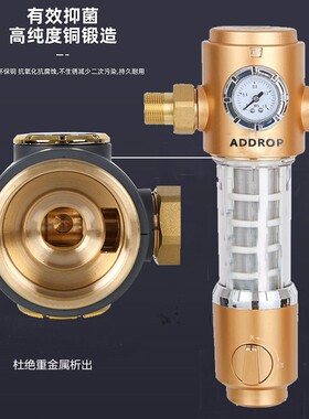 前置过滤器家用双表全屋净水自动