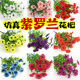 Fake flower simulated flower bed fence small handful flower arrangement decoration