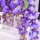 Simulated Arbor Wisteria Flower Landscape Decoration Painting
